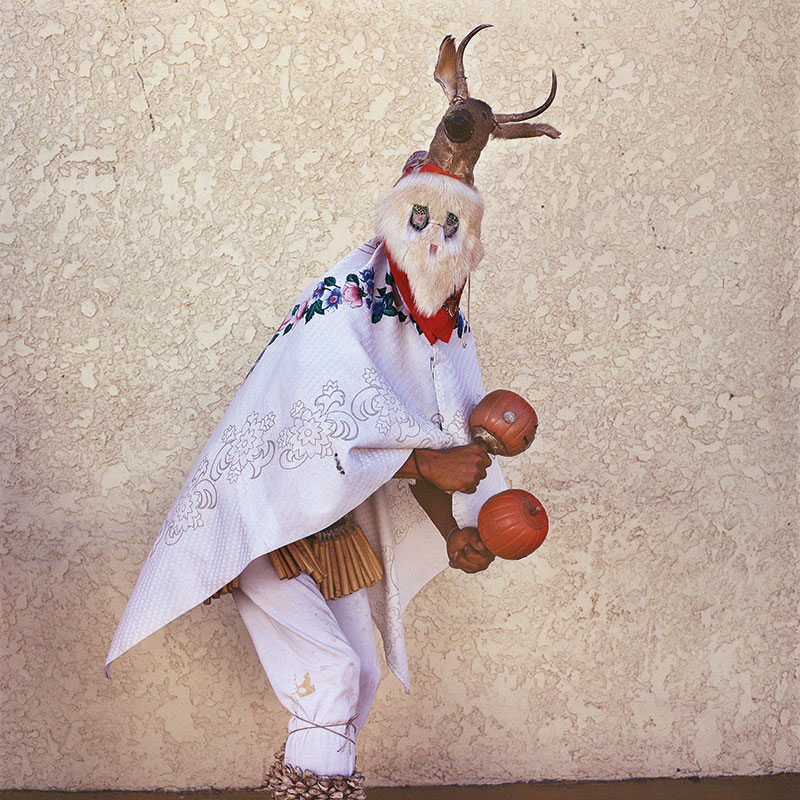 Mayo Chapakoba | Fariseo Mimicking Deer Dancer, (2008) © Phyllis Galembo. Courtesy of the artist.